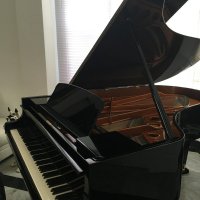 Usato, Bosendorfer, 200
