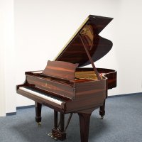 Occasion, Steinway & Sons, M-170