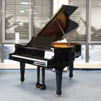 Occasion, Steinway & Sons, M-170