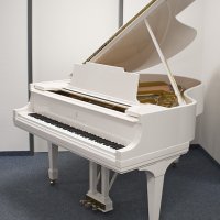 Occasion, Steinway & Sons, M-170