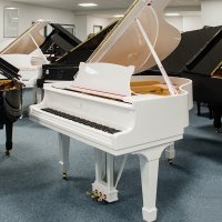 Usato, Steinway & Sons, S-155