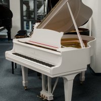 Usato, Steinway & Sons, S-155