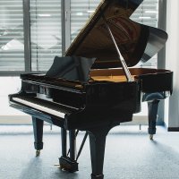 Used, Steinway & Sons, B-211