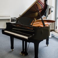 Gebruikte, Yamaha, C3X