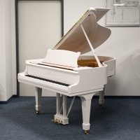 Används, Steinway & Sons, M-170