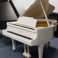 Används, Kawai, KG-2C