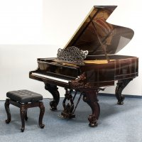 Används, Steinway & Sons, B-211