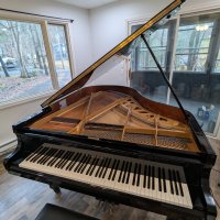 Używany, Kawai, KG-2D