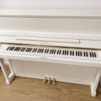 Används, Schimmel, W 118 Tradition