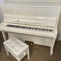 Används, Palatino, UP-123