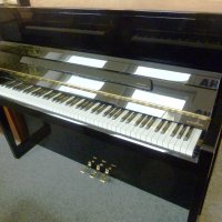 Nya, Schimmel, W 114 Tradition