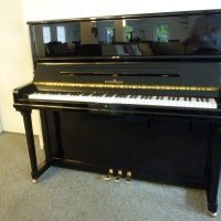 Används, Schimmel, 128