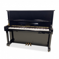 Używany, Kawai, BL-11