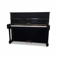 Używany, Yamaha, U1F