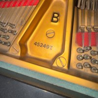 Usato, Steinway & Sons, B-211