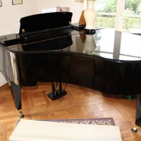 Usado, Bosendorfer, 160