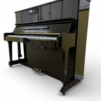 Gebruikte, Yamaha, U1