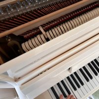 Used, Gebr. Schulz, 118 Traditional