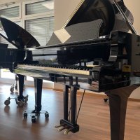 Używany, Yamaha, C5