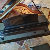 Usado, Euterpe, EU160