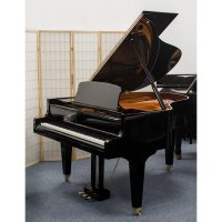 Occasion, Bosendorfer, 170