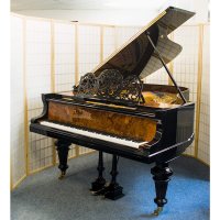 Gebruikte, Blüthner, 6 (190)