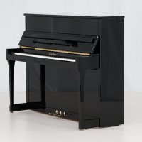 Gebraucht, Schimmel, Andere