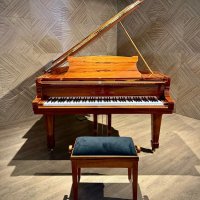 Używany, Steinway & Sons, O-180