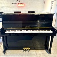 Neufs, Ritmüller, UP121RB