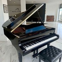 Gebruikte, Yamaha, G3