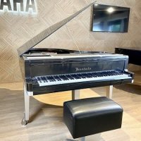 New, Bosendorfer, Porsche