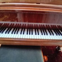 Usado, August Forster, 155