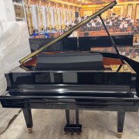 Gebruikte, Yamaha, GB1