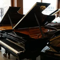 Usato, Bosendorfer, 225