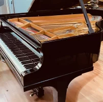 Occasion, Steinway & Sons, M-170