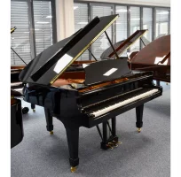 Occasion, Steinway & Sons, S-155