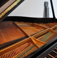 Occasion, Steinway & Sons, S-155