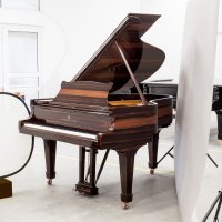 Steinway O in Macassar after complete renovation -  SAP index 10656