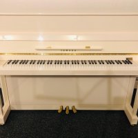 Används, Yamaha, P116