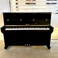 Usato, Ritmüller, Altro