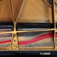 Używany, Steinway & Sons, A-188