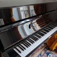 Usato, C. Bechstein, 12n