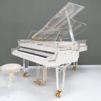 Schimmel – Model K-213 G – Glazen vleugel