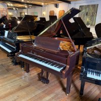 Gebraucht, Blüthner, 6 (190)