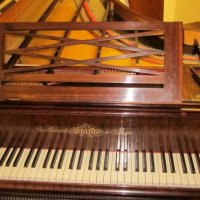 Används, Erard, Concert