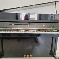 Usato, Schimmel, C 112