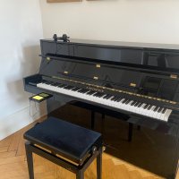 Usato, C. Bechstein, A 114