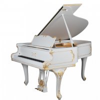 Occasion, Petrof, P 173 Breeze Rococo