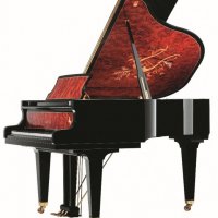 Nuovo, Schimmel, Altro