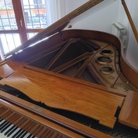 Gebruikte, Schiedmayer, 190